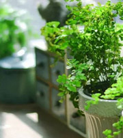 阜新专属于你的开运指南，助你鸿运当头福满身！