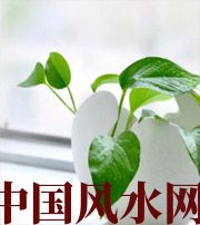 阜新家中摆放六种吉祥物，会打开您的财运大门！