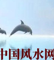 阜新做梦梦到这些，是要富裕的征兆！